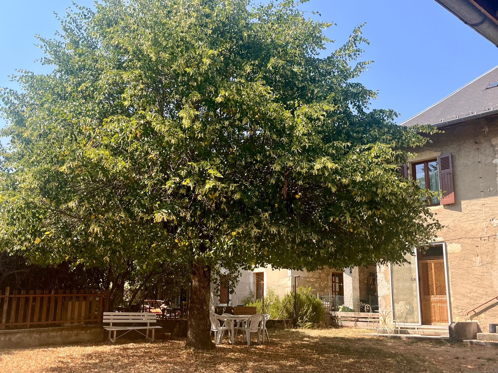Maison de village 3 pièces - 52 m2 - Cour privative et ate